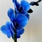 BlueFlower's profile picture