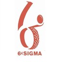 Six_Sigma_Jet_Kit's profile picture