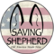 Saving_Shepherd's profile picture