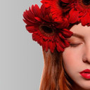 Dovemacob's profile picture